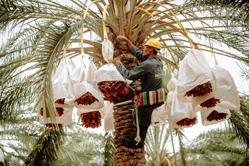 labor-working-in-middle-east