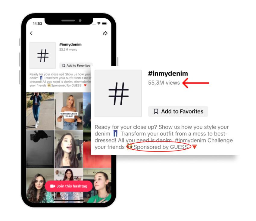tiktik-brandedhashtagchallenge-ad-format