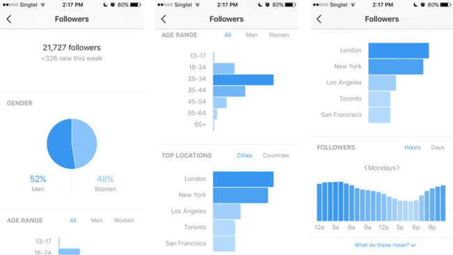 instagram-insights-social-media-audit-tool