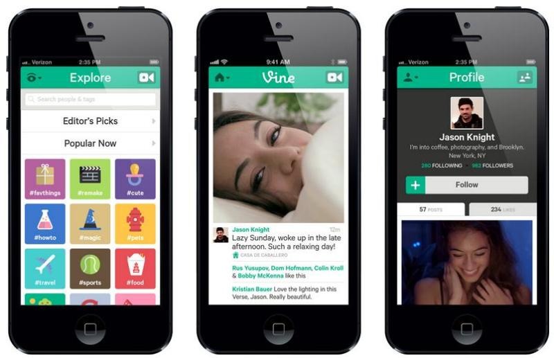 Vine